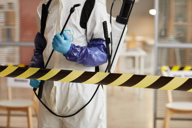 Professional Odor Removal technician working in Burbank, SD