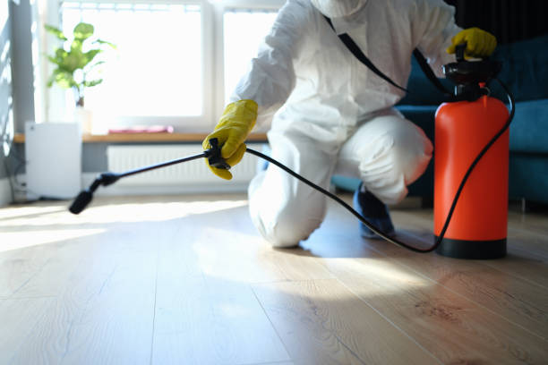 Reliable Odor Removal contractor in Burbank, SD by Trauma Clean Pros